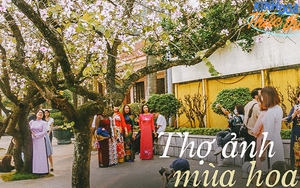 Lời đồn làm nhiếp ảnh chụp cho chị em vào mỗi mùa hoa có thể kiếm 100 triệu/tháng và sự thật từ những người trong cuộc