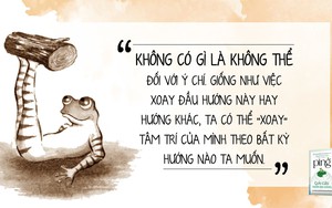 'Ping - Giải cứu Vườn Địa đàng' và bài học về thái độ sống '7 lần ngã, 8 lần đứng dậy' cực thấm thía 