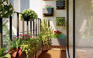 5 loại cây nên trồng ở ban công để chiêu tài, càng tươi tốt gia chủ càng giàu sang
