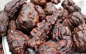 Loại củ được ví như 'thuốc tiên', là cứu tinh của gan thận, 'quét' sạch mỡ trong máu