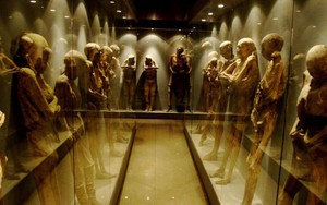 Các chuyên gia cảnh báo rằng các xác ướp được trưng bày ở Mexico có thể lây nhiễm nấm "lời nguyền" cho con người