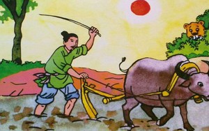 Chữ và nghĩa: 'Chân lưng' có giống chân trời?