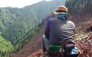 Mua đất rừng giá rẻ như cho, người đàn ông giàu sụ từ tiền đền bù trả đều đặn hàng năm: Ngồi không đếm cột điện nhân thành tiền cũng đủ sống 