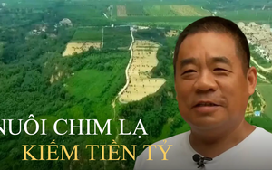 Người đàn ông làm giàu từ ‘chim cao 2m’, giá một con đã 34 triệu: Khi người khác thua lỗ vẫn có sáng kiến 'lội ngược dòng' kiếm 24 tỷ đồng/năm