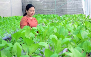 Thành lập Hội đồng thẩm định Quy hoạch hệ thống đô thị và nông thôn thời kỳ 2021-2030, tầm nhìn 2050