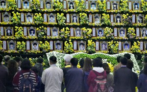 Tròn 9 năm sau thảm họa chìm phà Sewol tồi tệ nhất lịch sử Hàn Quốc, người ở lại vẫn đau đáu chưa thể chấp nhận sự thật đau lòng