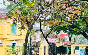 Những ngôi trường có cảnh quan đẹp nhất Hà Nội: Góc nào cũng có thể "check-in", có nơi sở hữu cả "mùa thu" cho riêng mình!