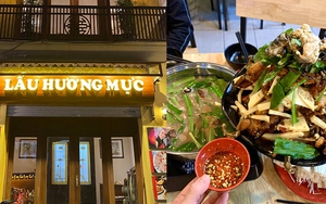 Nồi lẩu ếch được tìm kiếm nhiều nhất lúc này, hóa ra là của một hàng nổi tiếng Hà Nội, người sành ăn đều từng thử qua?