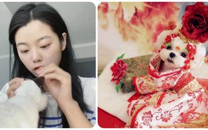 Bỏ việc lương hơn 30 triệu/tháng, 9X về quê làm thợ may cho thú cưng, kiếm 'ngon ơ’ hàng trăm triệu đồng