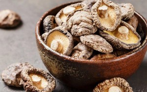 Loại cây Việt Nam có nhiều, được ví như 'nữ hoàng của các loại nấm': Bồi bổ cơ thể rất tốt!