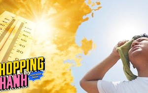 Vài cách giải nhiệt cho nhà cửa hiệu quả lại đơn giản, không cần phụ thuộc điều hòa