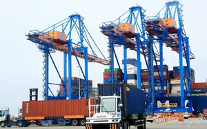 OECD dự báo kinh tế Việt Nam năm 2023 tăng 6,5%