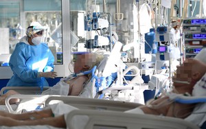 WHO: Số ca tử vong vì Covid-19 giảm 95% kể từ đầu năm 2023