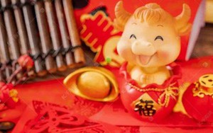 4 con giáp có IQ ’vô cực’, kinh doanh mát tay, tuổi càng cao phúc lộc càng dày
