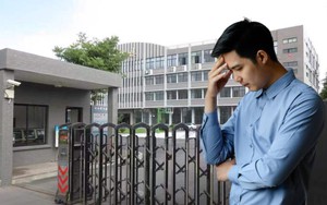 Nhảy việc công ty lớn về làm sếp công ty nhỏ lương 2 tỷ/năm, 6 tháng sau tôi bị sa thải: Khuyên bạn đừng 'đứng núi này trông núi nọ' nếu chưa biết sự thật này