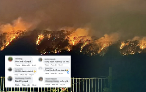 Du khách buồn bã, xót xa trước cảnh đồi thông cửa ngõ đèo Prenn bùng cháy dữ dội