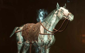 Diablo 4 giới thiệu tính năng thú cưỡi chưa từng có trước đây, điều kiện khắt khe để sở hữu