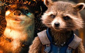 Lý giải thân phận người bạn thơ ấu của Rocket, từng lấy cạn nước mắt của khán giả trong Guardians of the Galaxy 3