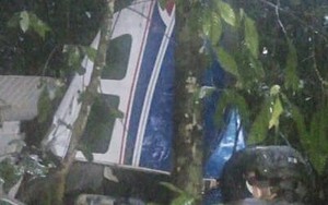 Colombia: 4 trẻ em sống sót thần kỳ sau tai nạn máy bay