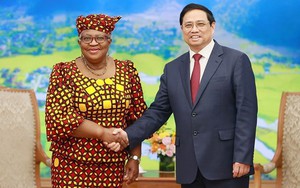 Chuyến thăm của Tổng Giám đốc WTO nâng vị thế của Việt Nam trên trường thương mại quốc tế