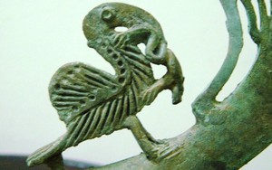 Đêm đêm rì rầm trong tiếng đất: Chim và rùa trong thế giới tâm linh Đông Sơn