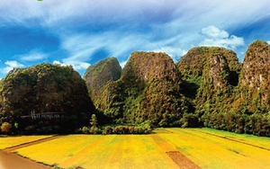 Tuần du lịch Ninh Bình năm 2023: Sắc vàng Tam Cốc - Tràng An