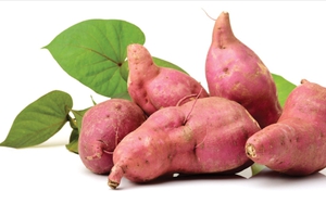 Loại củ bán rẻ như cho, biết dùng sẽ thành 'thuốc' bảo vệ tế bào, ổn định đường huyết