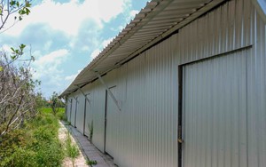 Cần Thơ xác minh, xử lý trường hợp trồng cây, xây nhà đón cao tốc