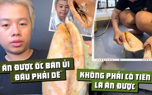 Hành trình gian nan chinh phục ốc bàn ủi khổng lồ của reviewer