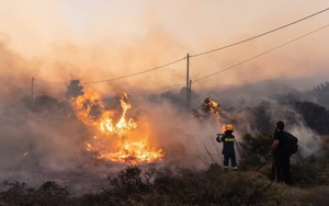 Cháy rừng gây thiệt hại lớn tại tỉnh Kurgan của Nga