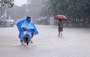 Các khu vực đều có mưa và dông