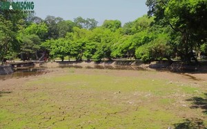 Nguyên nhân hồ trong công viên Bách Thảo cạn trơ đáy