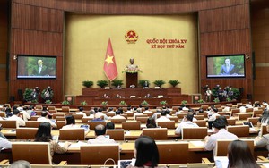 Kỳ họp thứ 5, Quốc hội khóa XV: Biểu quyết thông qua ba luật và một nghị quyết