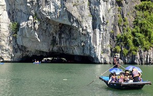 Tái diễn lừa đảo tiền đặt cọc du khách đi du lịch Hạ Long​