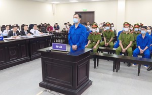 Vụ thao túng thị trường chứng khoán: Chủ tịch Louis Holdings kháng cáo xin giảm nhẹ hình phạt