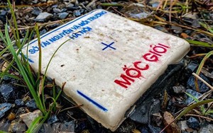 Gấp rút giải phóng mặt bằng xây dựng đường Vành đai 4 - Vùng Thủ đô