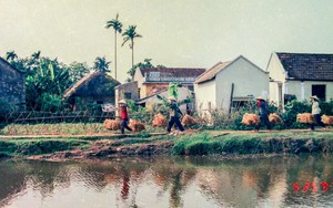 Cuộc đời sau ống kính: Ngày mùa 1/4 thế kỷ trước