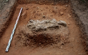 Đề nghị công nhận Đàn tế giao thời Tây Sơn là Di tích quốc gia đặc biệt