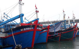 Chủ động ứng phó với vùng áp thấp có thể mạnh lên thành áp thấp nhiệt đới