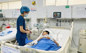 Ăn nấm mọc trên xác nhộng ve sầu, hai mẹ con nhập viện