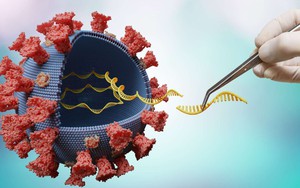 Mỹ phát triển màn hình phát hiện virus SARS-CoV-2 trong vòng vài phút