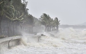 Đêm 14 và ngày 15/7, áp thấp nhiệt đới sẽ đi vào Biển Đông, có khả năng mạnh lên thành bão