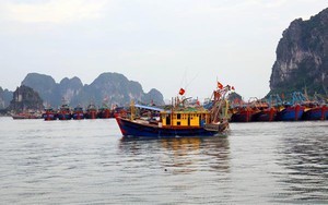 Bão số 1 cách Móng Cái khoảng 400 km, sức gió mạnh cấp 12, giật cấp 15