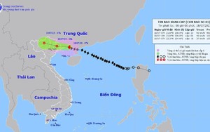Bão số 1: Sức gió mạnh nhất vùng gần tâm bão mạnh cấp 10, giật cấp 12