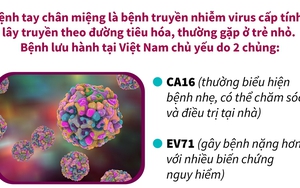 7 tháng năm 2023: Gần 15.000 ca mắc tay chân miệng, Bộ Y tế cảnh báo dịch gia tăng