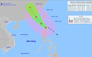 Bão DOKSURI di chuyển theo hướng Tây Bắc, giật trên cấp 17