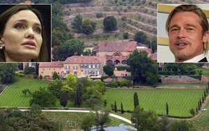 Brad Pitt và Angelina Jolie đồng ý hòa giải về cuộc chiến vườn nho