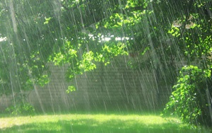 Chữ và nghĩa: Cao táp, rạp mưa