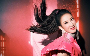 Thất bại hôn nhân với chồng tỷ phú hơn 17 tuổi khiến Coco Lee gục ngã