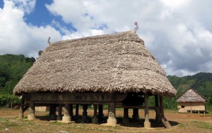 Nhà làng - Di sản văn hóa độc đáo của người Cơ Tu